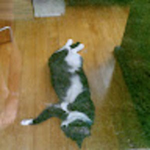 Meet your Posher, Daniel